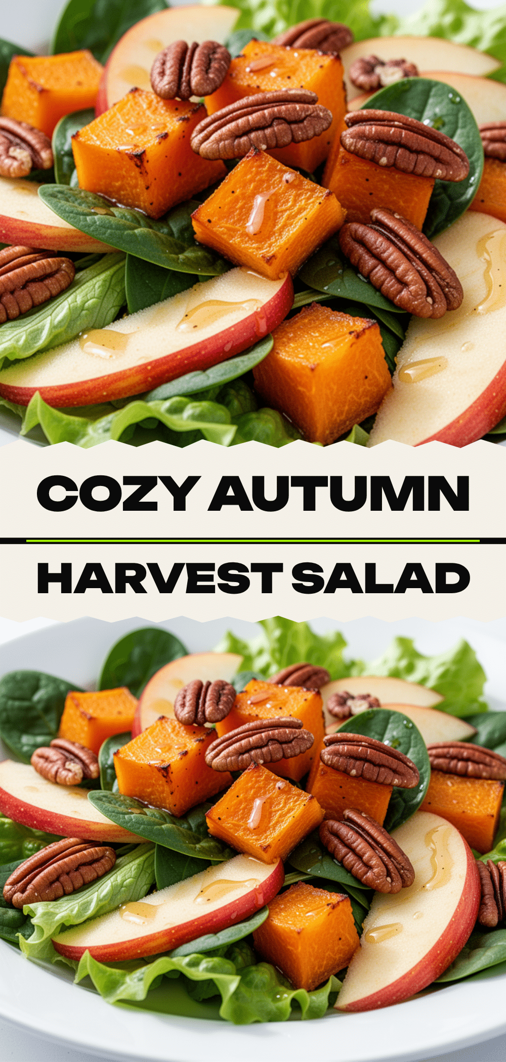Autumn Harvest Salad: 5 Easy Fall Lunch Ideas 5 autumn harvest salad recipe