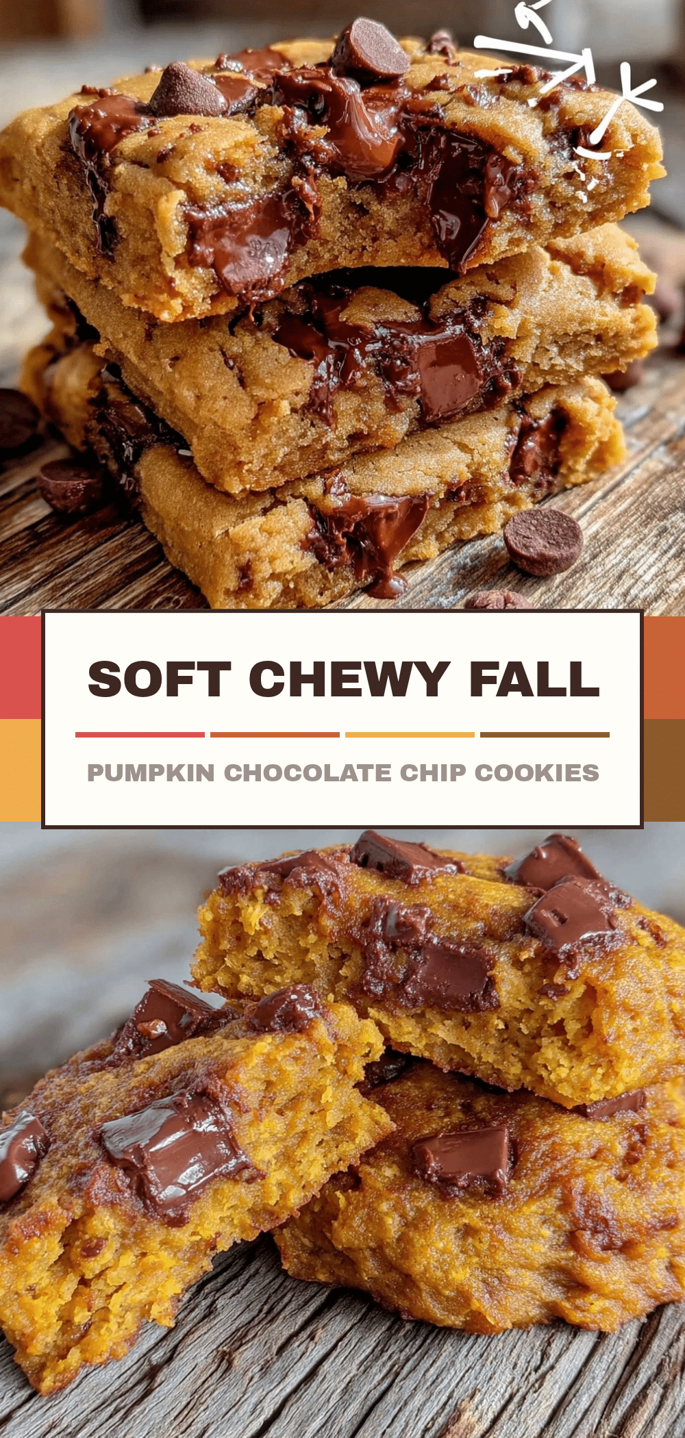Budget Pumpkin Chocolate Chip Cookies: 1 Person Easy 5 budget pumpkin chocolate chip cookies recipe